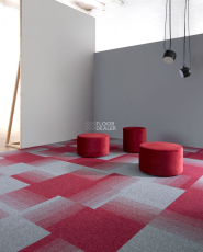Bloq Connexion Connexion 406 фото 4 | FLOORDEALER